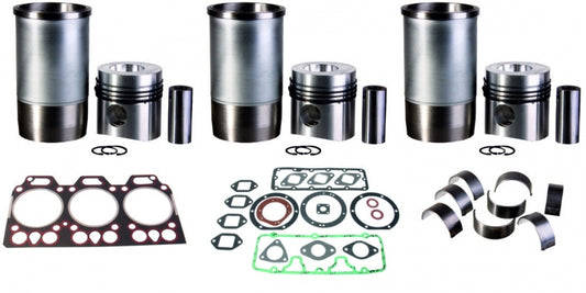 kit ripasso motore Steyr 8055 8060 8065
