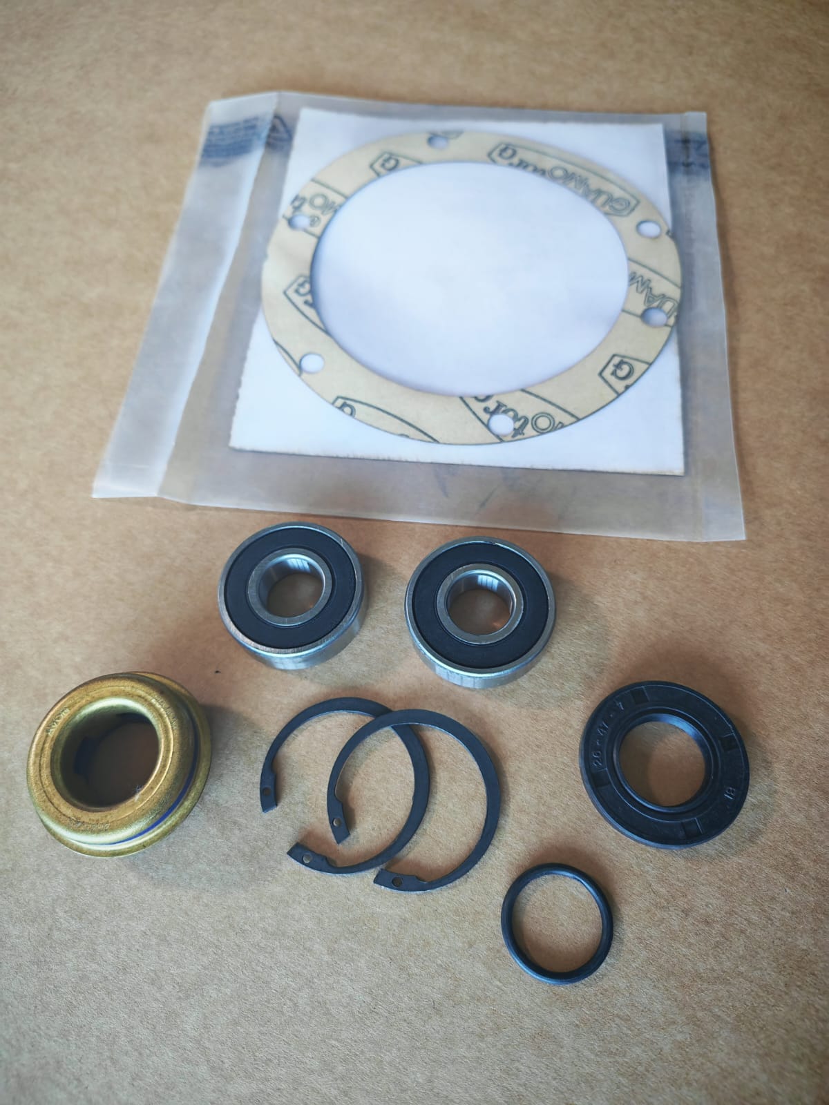kit ripasso pompa acqua per Steyr 1090, 1100, 1200, 8140, 8150, 8160